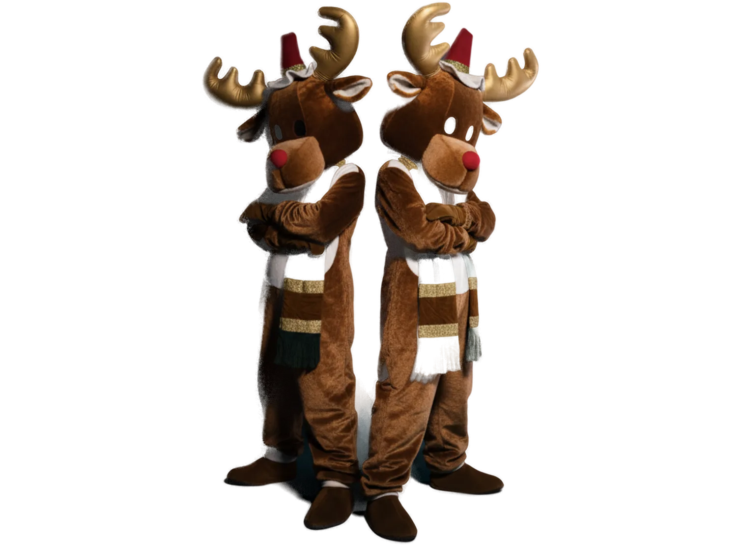 Enchanted Reindeer