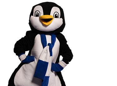 Frosty Penguin