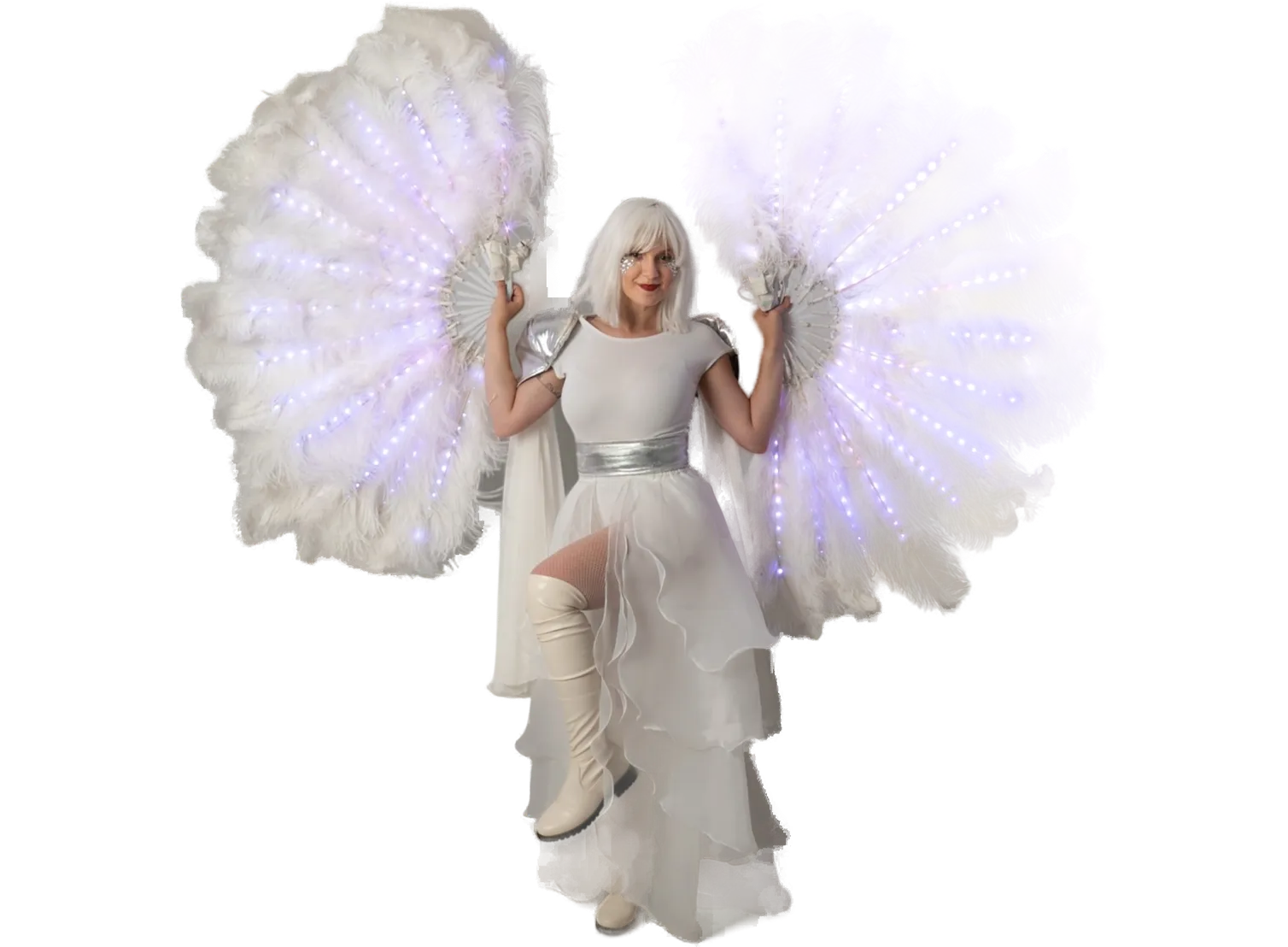 Feather Fans LED