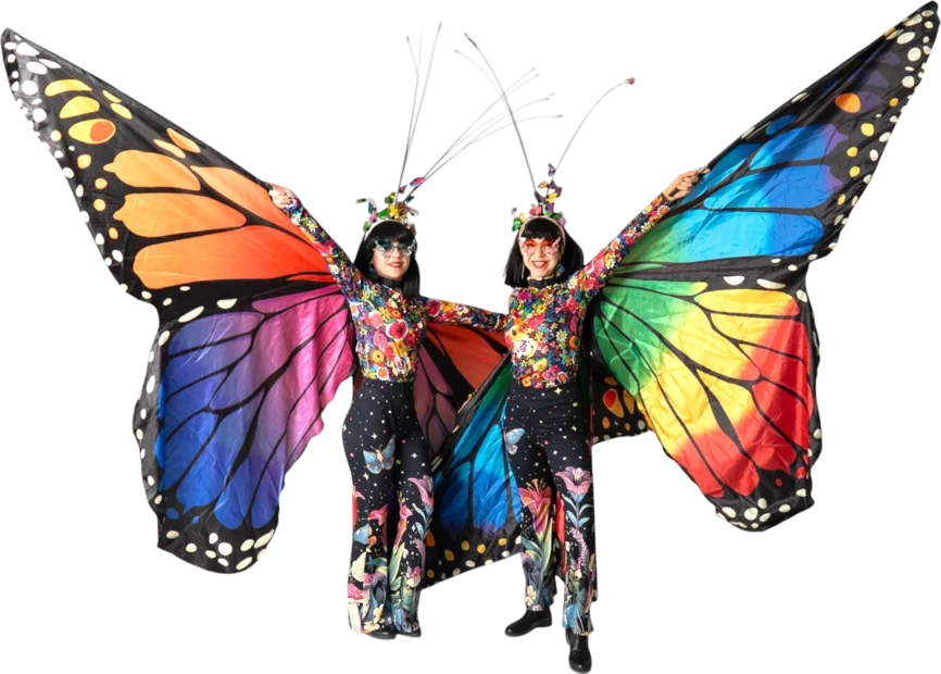 Butterflies