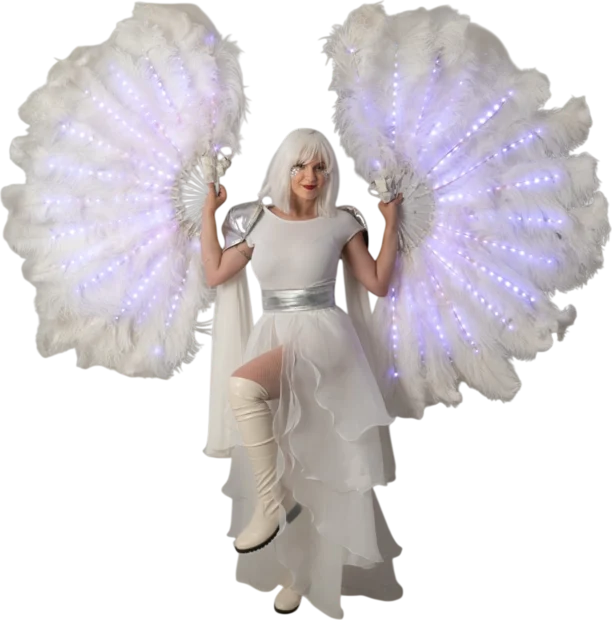 Feather Fans LED