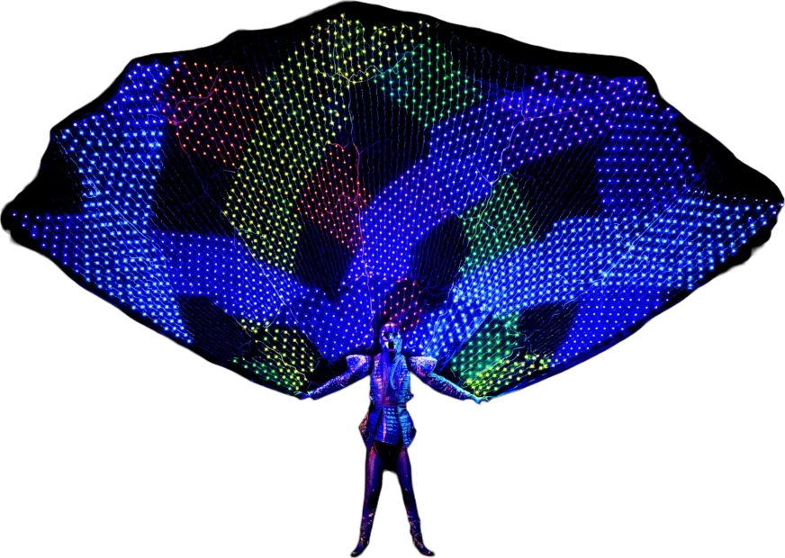 LED Tail 2700