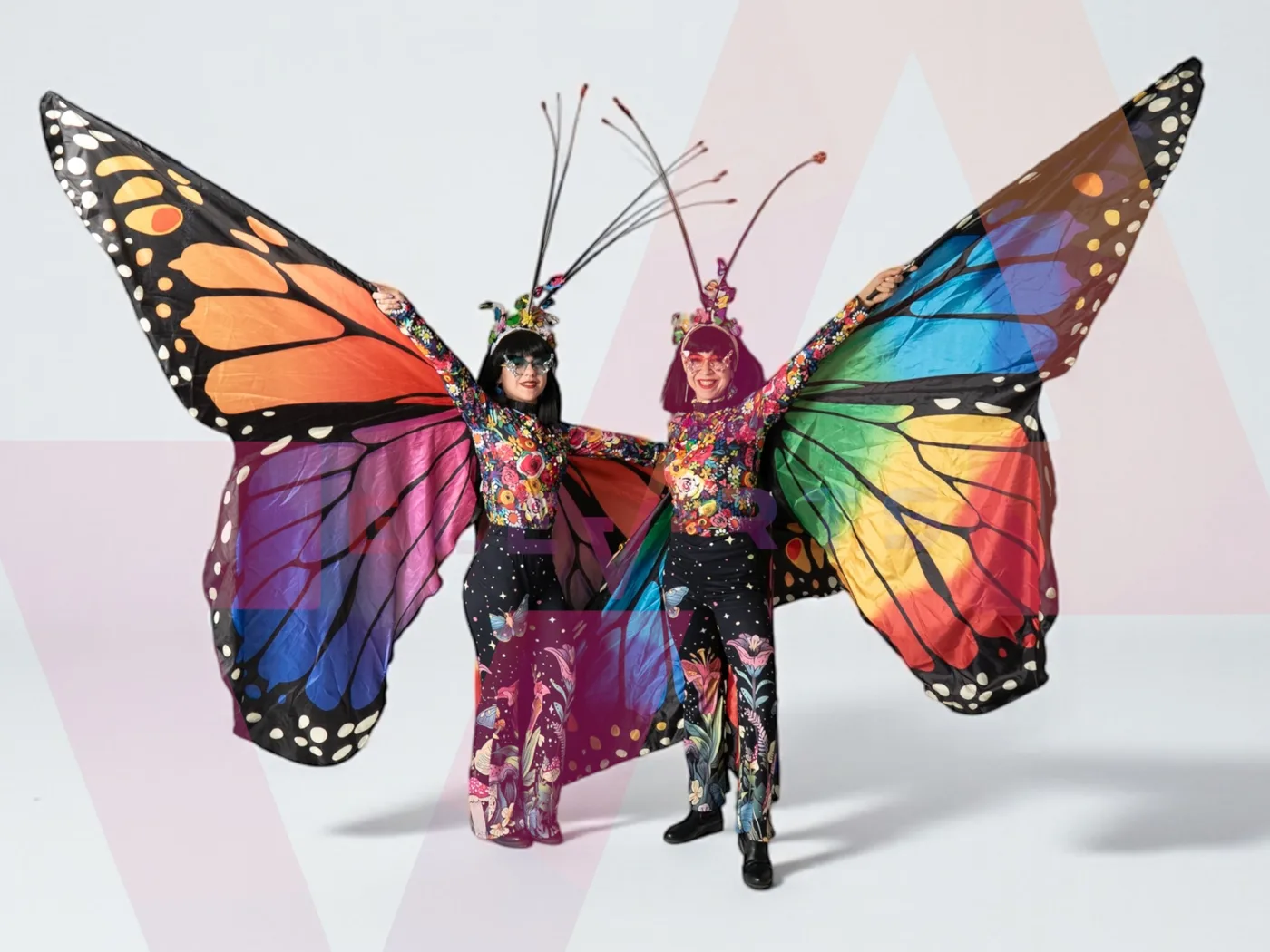 Butterflies — 1
