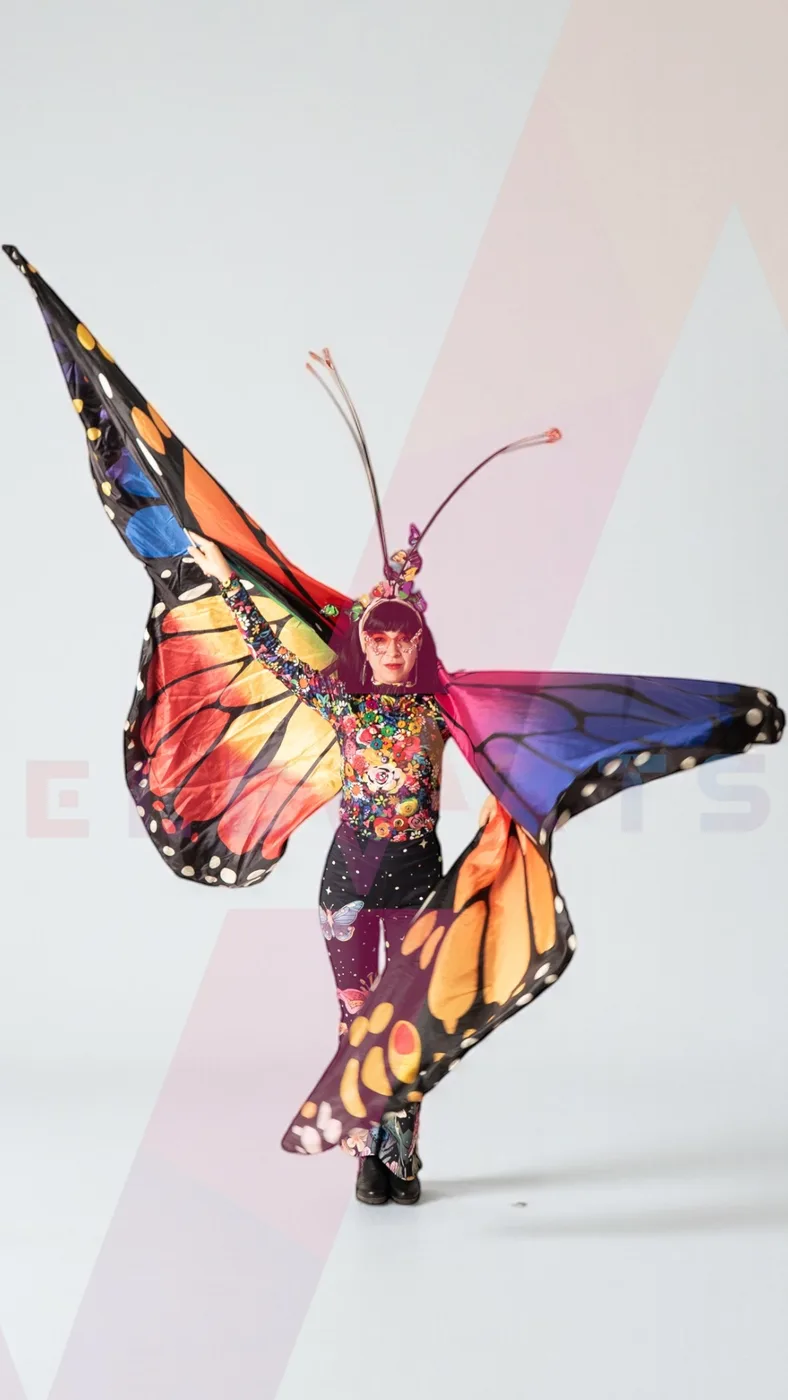 Butterflies — 3
