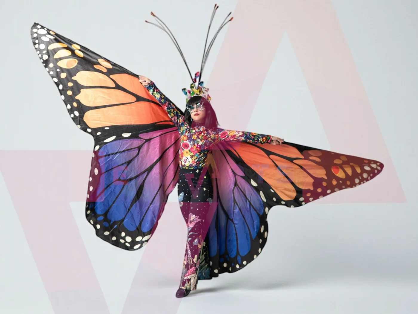 Butterflies — 2