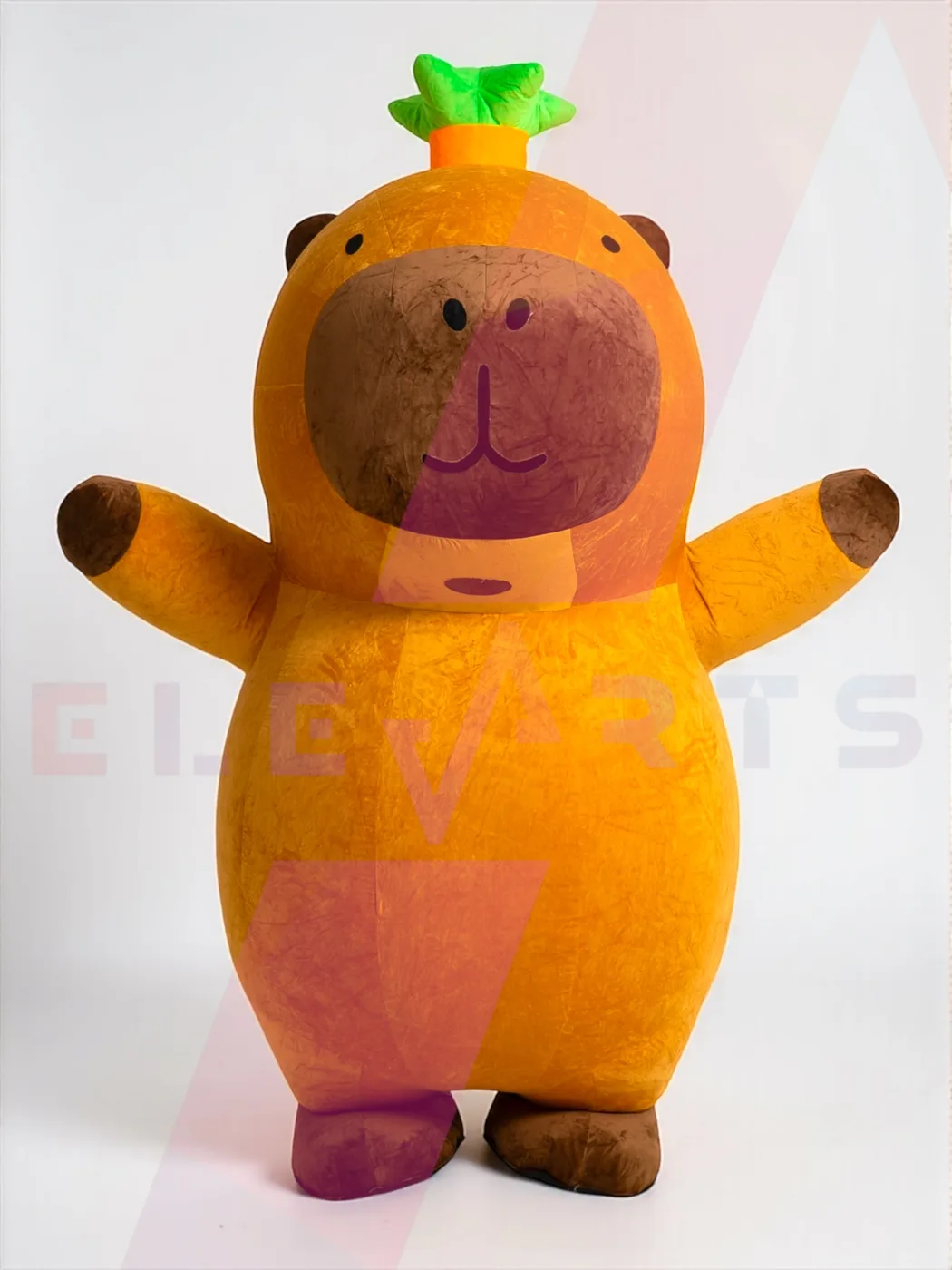 Mascote Gonflabile Colorate — 2