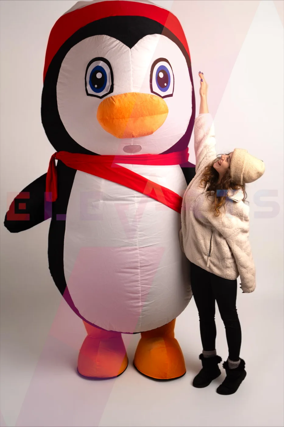 Chilly Penguin — 1