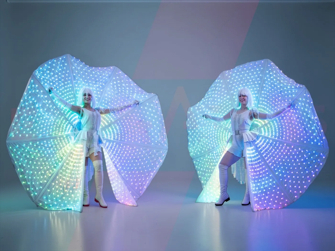 Mini Peacock LED Tails — 1