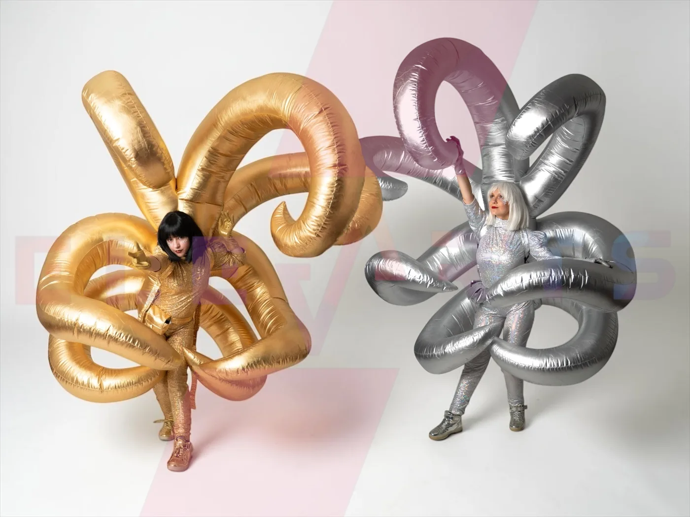 Octopus — 1