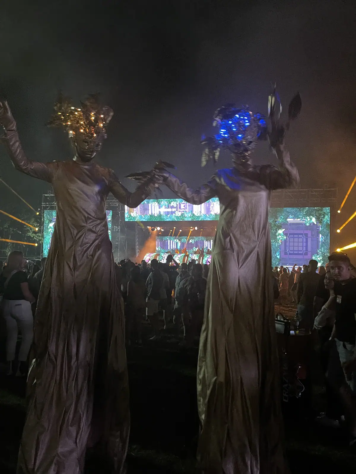 Deep Forest Fest — Characters Across Editions