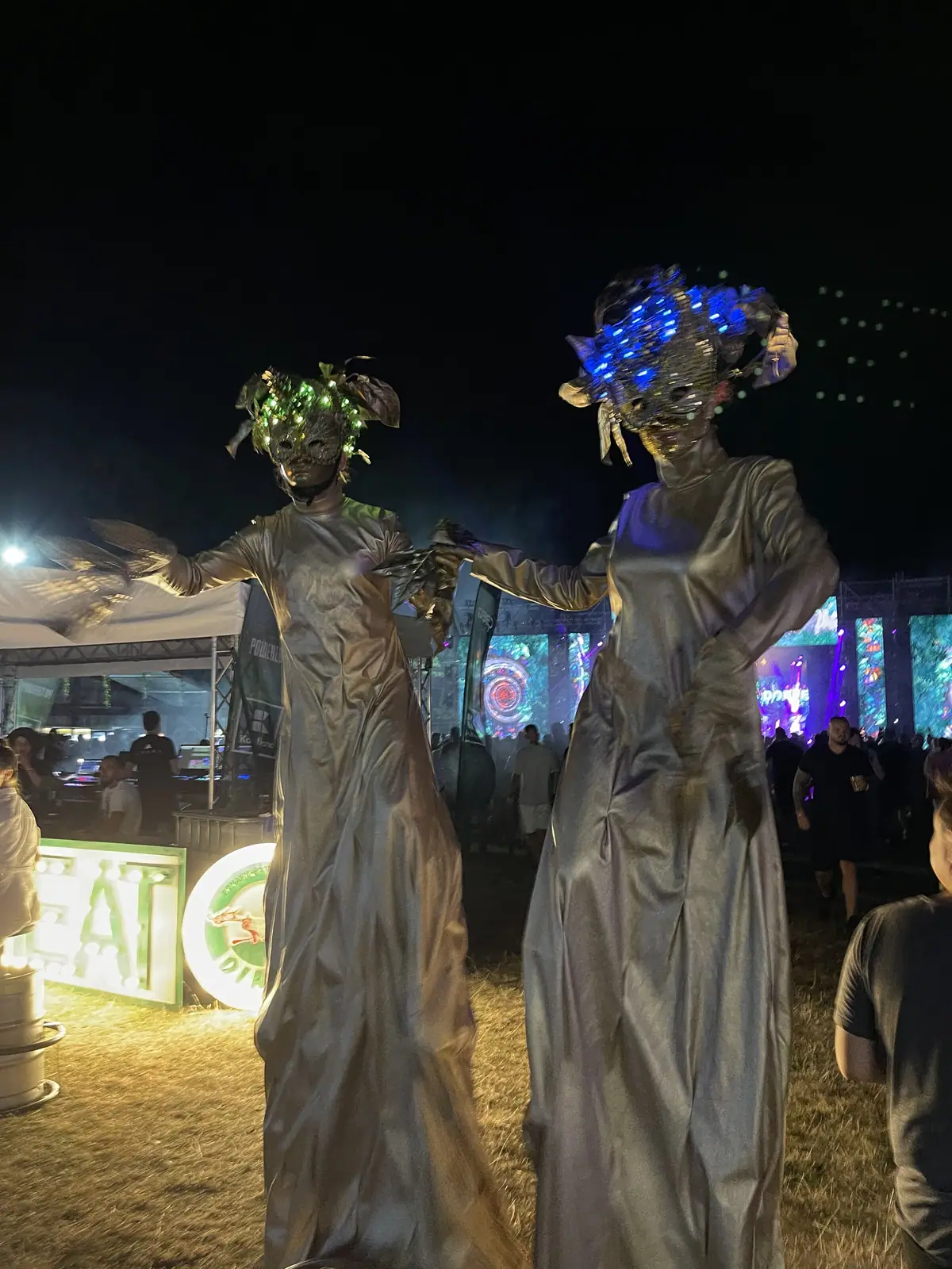 Deep Forest Fest — Characters Across Editions