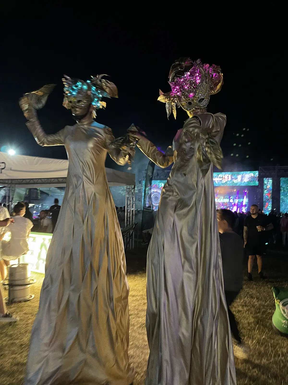 Deep Forest Fest — Characters Across Editions