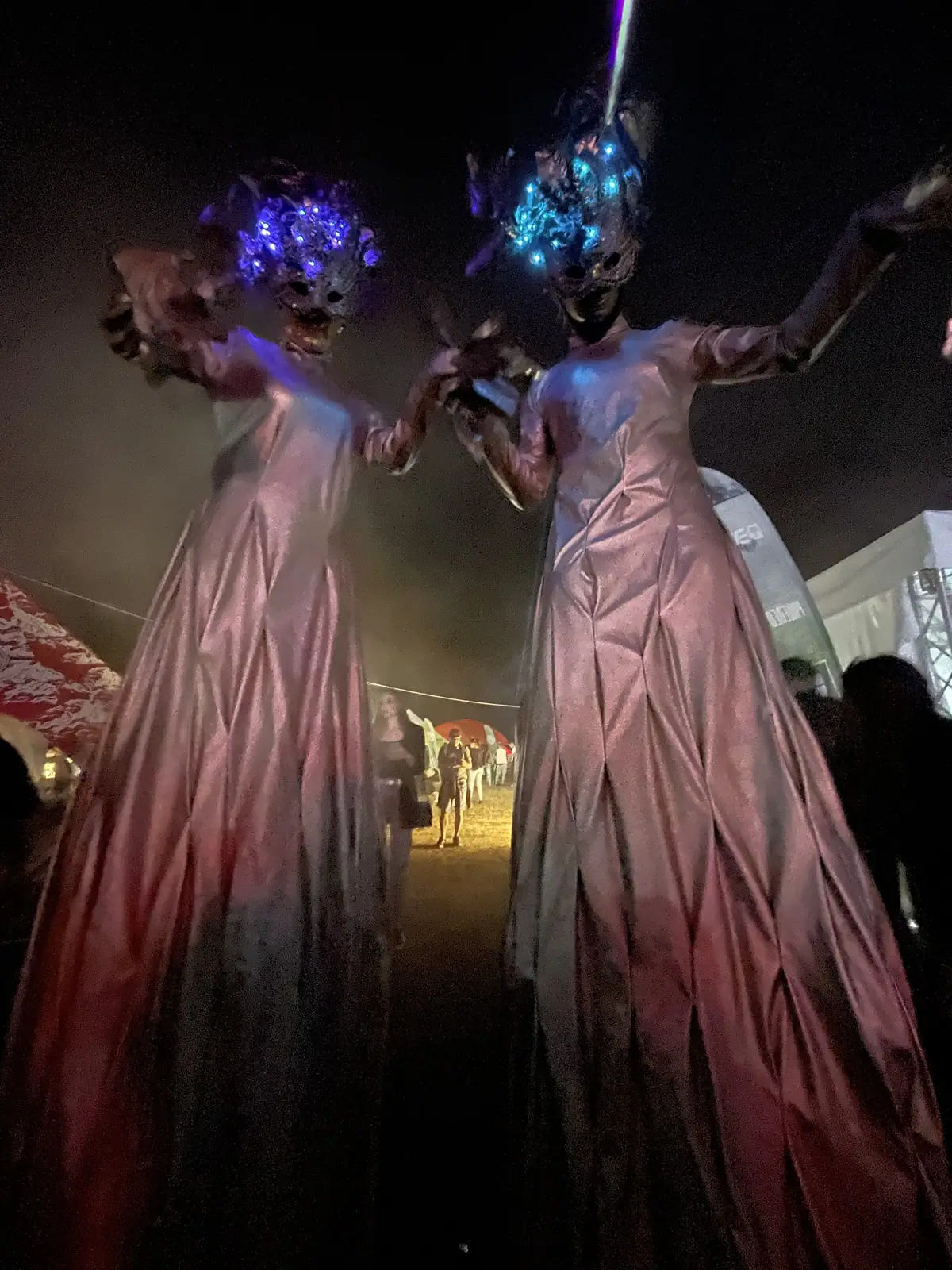 Deep Forest Fest — Characters Across Editions