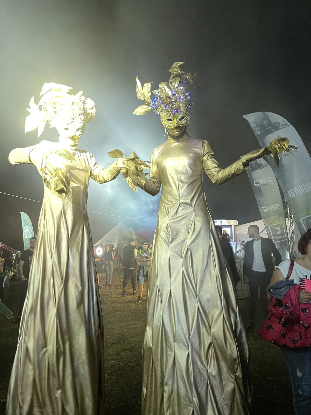 Deep Forest Fest — Characters Across Editions