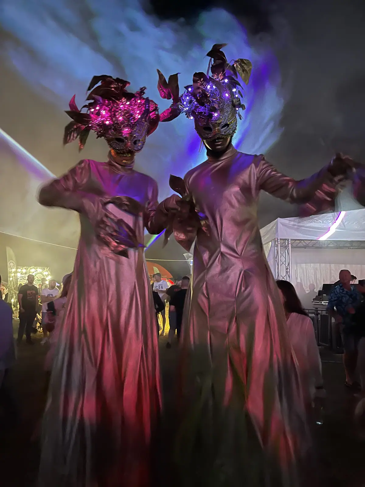 Deep Forest Fest — Characters Across Editions