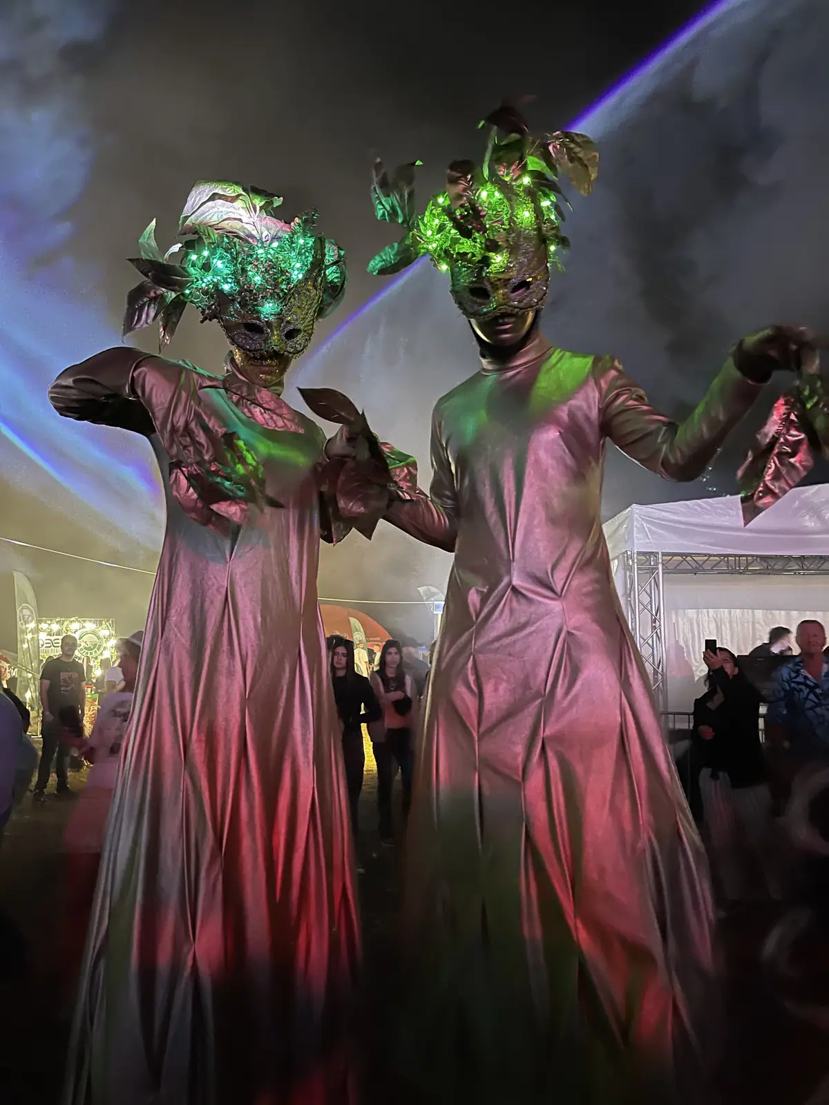 Deep Forest Fest — Characters Across Editions
