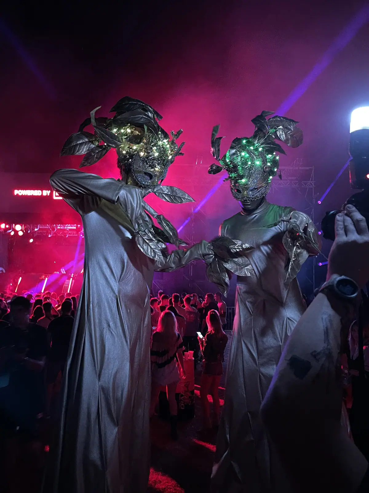 Deep Forest Fest — Characters Across Editions