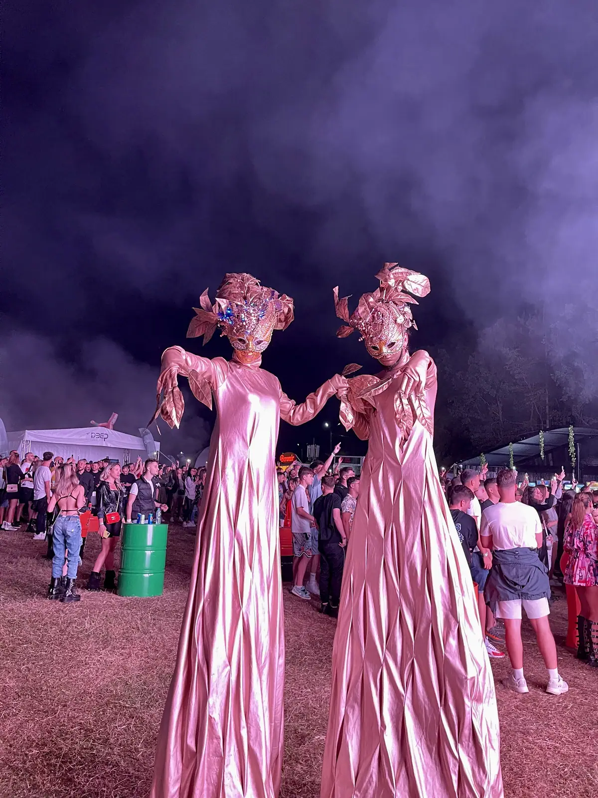 Deep Forest Fest — Characters Across Editions