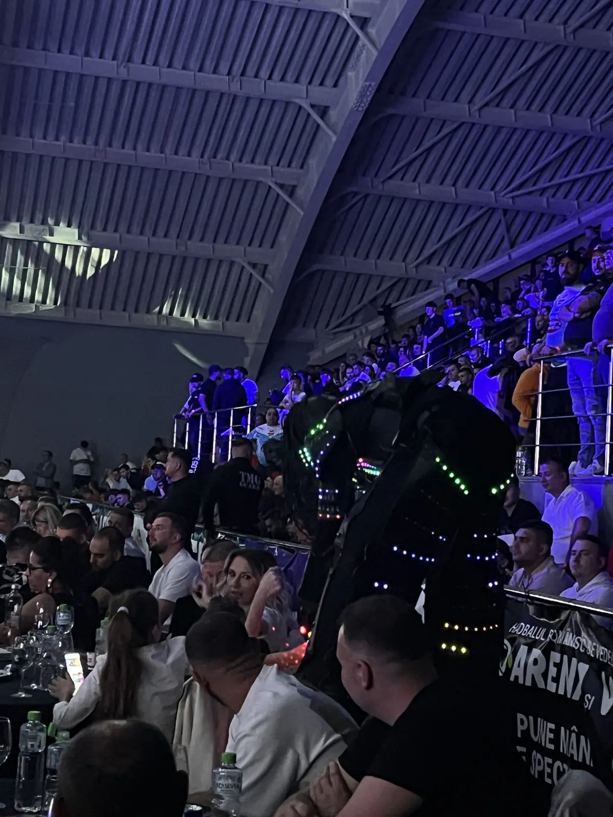 Dynamite Fighting Show