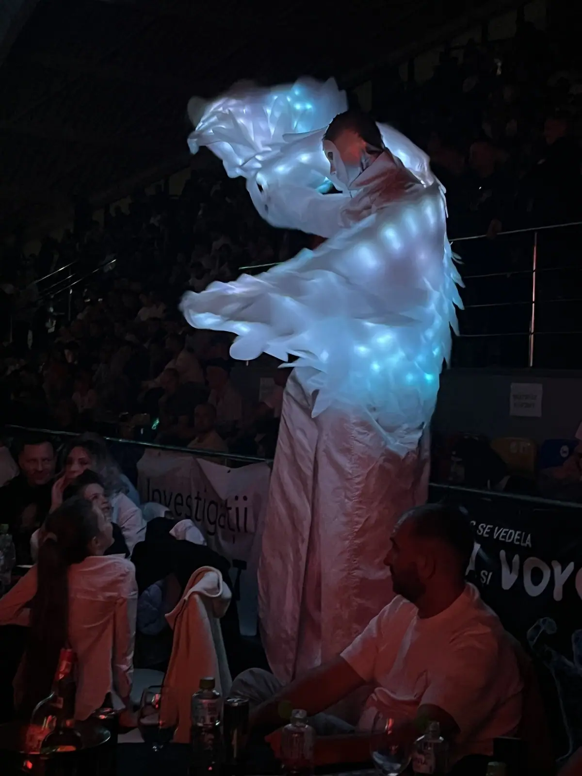 Dynamite Fighting Show