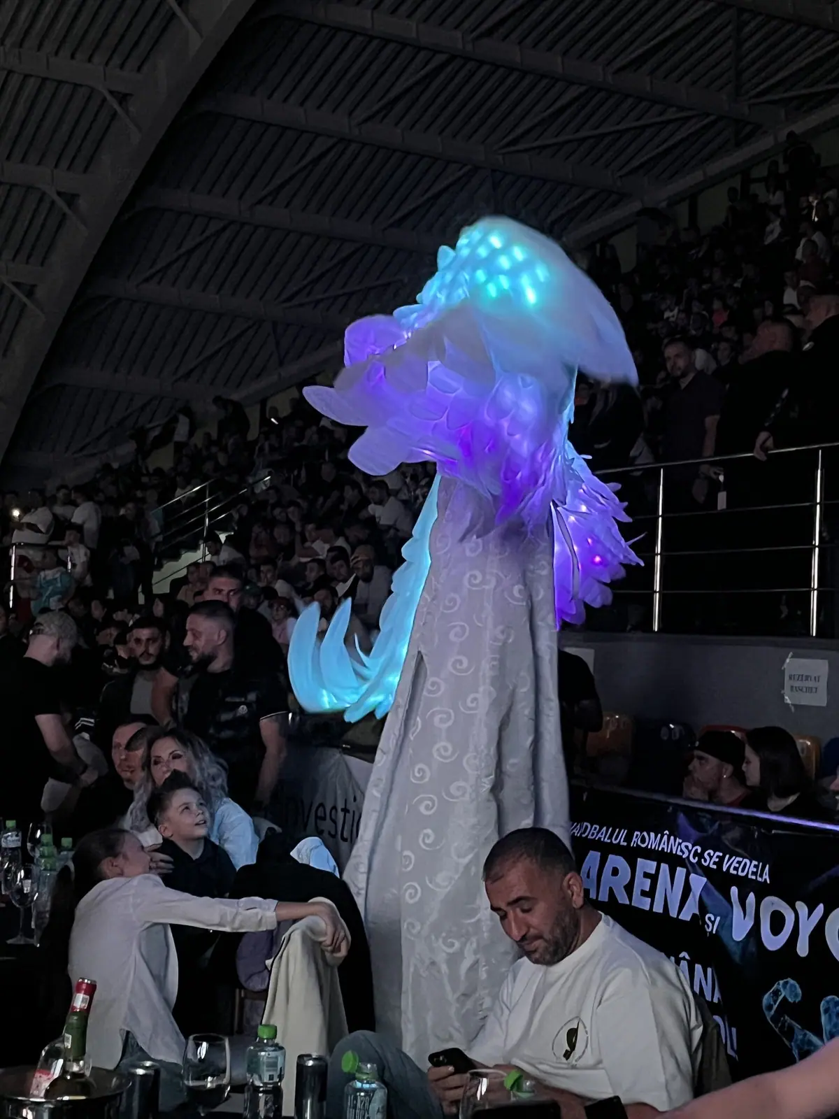 Dynamite Fighting Show