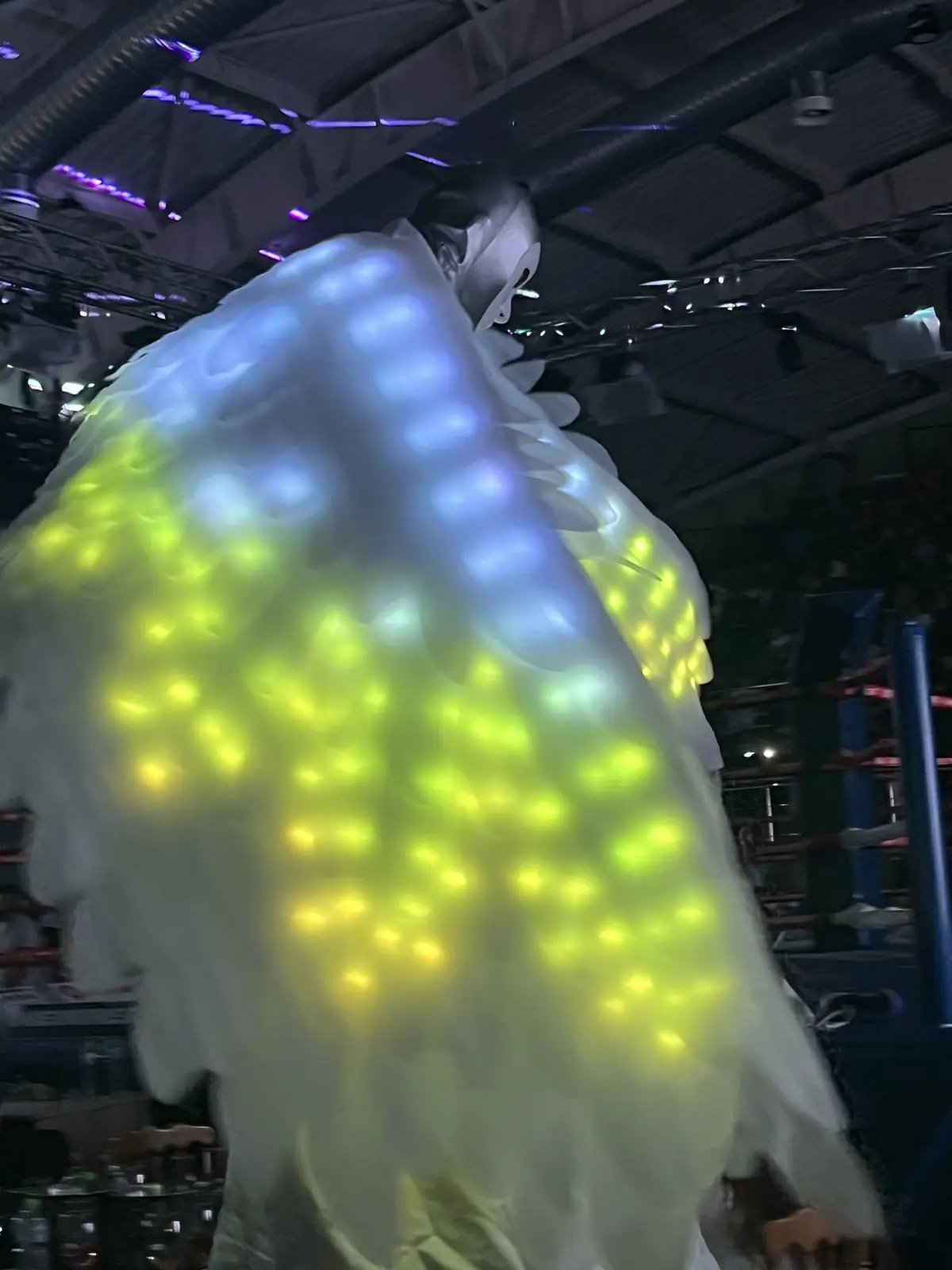 Dynamite Fighting Show