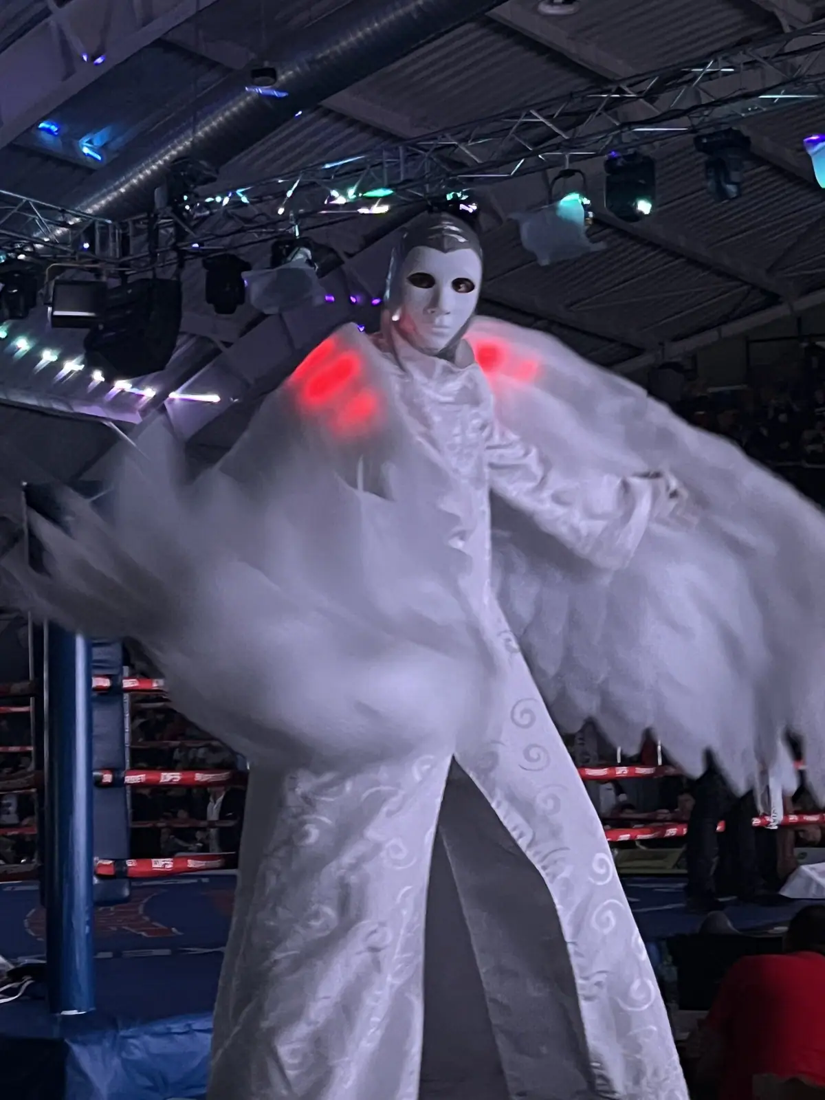 Dynamite Fighting Show