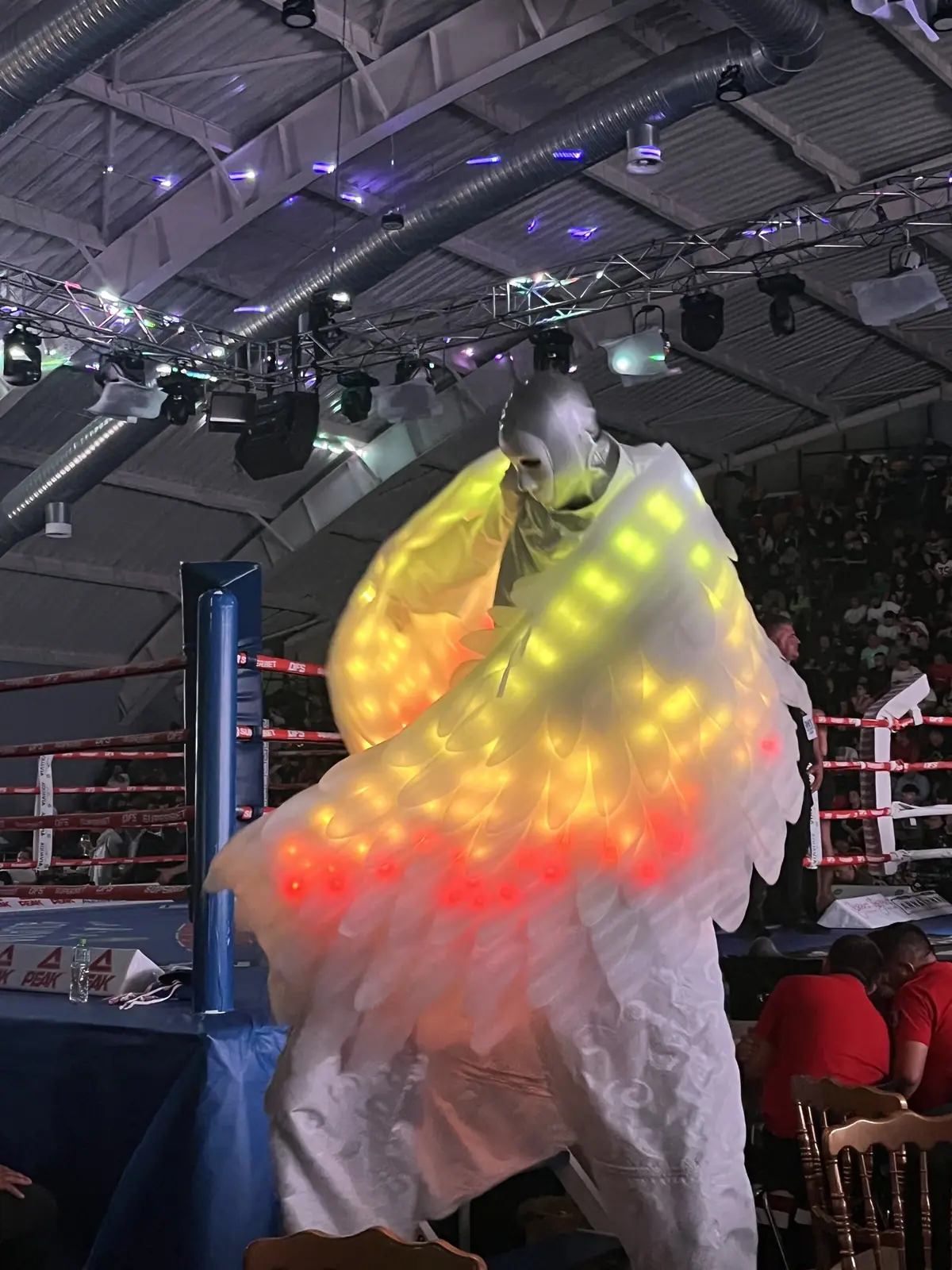 Dynamite Fighting Show