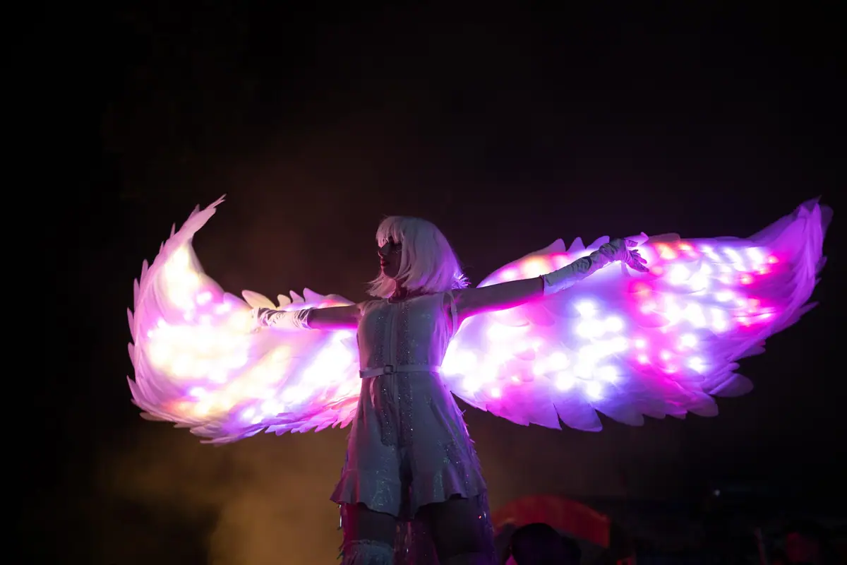 Flight Festival