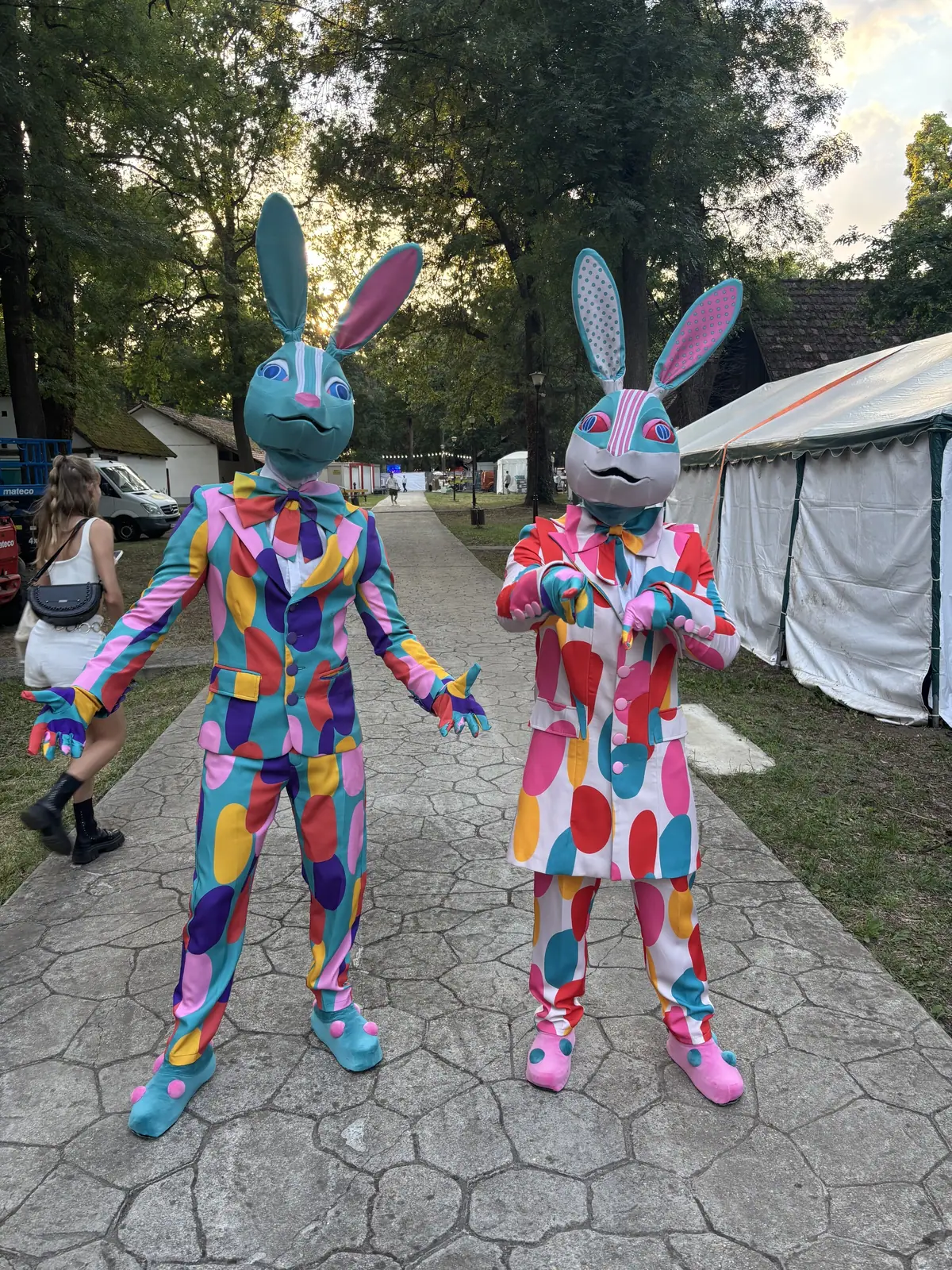 Flight Festival