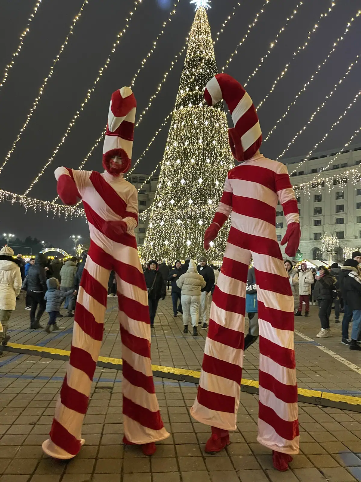 Bucharest Christmas Market — Piața Constituției