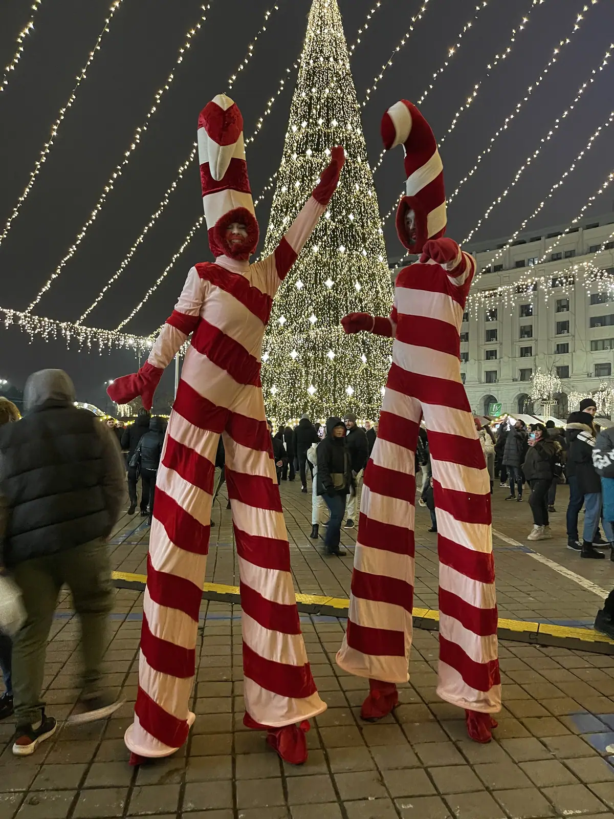 Bucharest Christmas Market — Piața Constituției