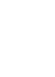 Flight Festival