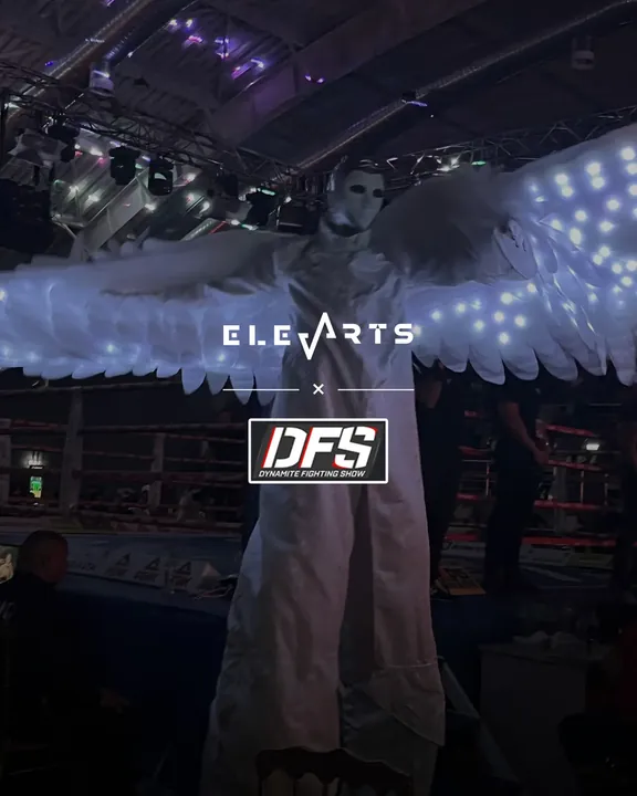 Dynamite Fighting Show